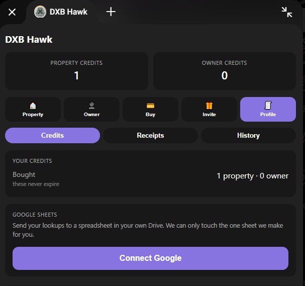 The profile screen showing the Google Sheets panel and a Connect Google button